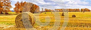 Picturesque autumn landscape with beveled field and straw bales in cloudy day. Beautiful agriculture background, wonderful nature