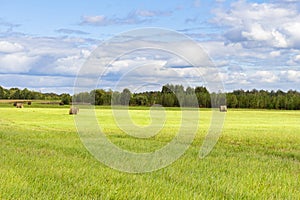 Picturesque autumn landscape with beveled field and straw bales. Scene with haystacks on field