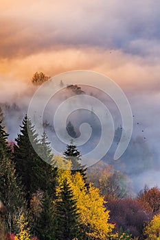 Picturesque autumn landscape with lush trees hidden in clouds. Kremnica Mountains, Slovakia.