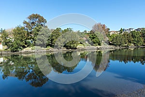 Picturesque autumn landscape on a river