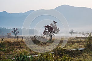 Picturesque autumn morning in the countryside in Huanghan region, close to Hongcun and Tachuan villages in China, Yi County