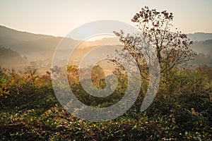 Picturesque autumn morning in the countryside in Huanghan region, close to Hongcun and Tachuan villages in China, Yi County