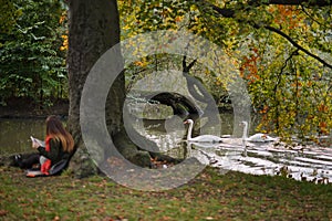 Picturesque autumn park.