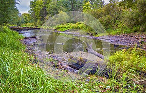 Picturesque Autumn Pond with Snags And fallen Trees Floating in The Pripyat River and Dry Grass and Trees on Field of Polesye