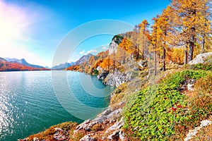 Picturesque autumn scene in Swiss Alps and views of Sils Lake (Silsersee