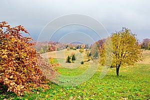 Picturesque autumn scenery in the mountains with meadow and colorful trees on foreground and fog above valley. III