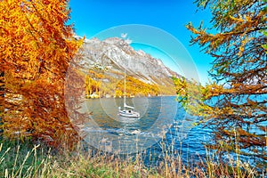 Picturesque autumn views of Sils Lake (Silsersee) with small white yacht