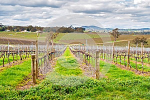 Wine valley in Adelaide Hills