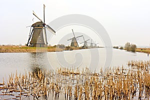 Picturesque Autumnal Windmills In a Row