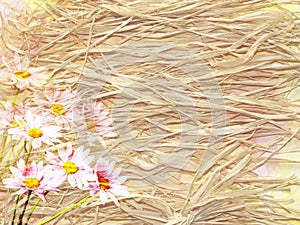 The picturesque background in rustic style with dry grass