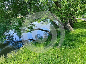 Picturesque bank of river. sunny summer day