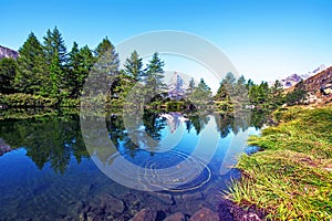 picturesque beautiful landscape with lake and fir trees on background Matterhorn in the Swiss Alps, near Zermatt, Switzerland.