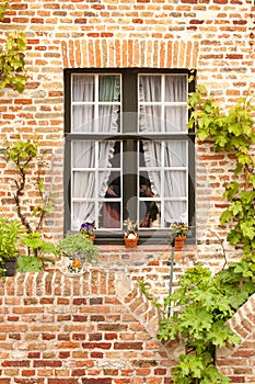 Picturesque Belgian traditional window