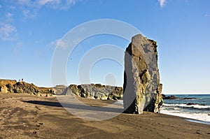 Picturesque black sand volcanic beach at summer, south Iceland