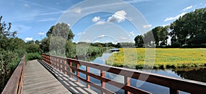 Picturesque bridge in Dutch countryside.