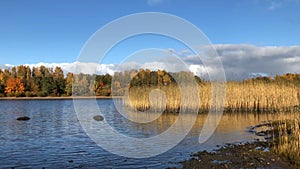 picturesque bright autumn landscape, river, motley forest