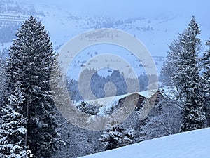 Picturesque canopies of alpine trees in a typical winter atmosphere after the winter snowfall over the Lake Walen - Switzerland