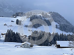 Picturesque canopies of alpine trees in a typical winter atmosphere after the winter snowfall over the Lake Walen - Switzerland