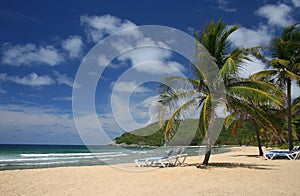 Malebný karibský pláž 