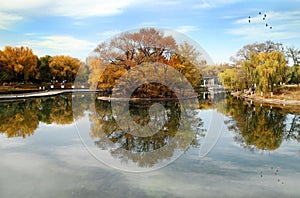 Picturesque and charming late autumn scenery.