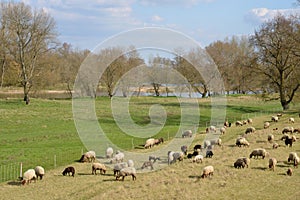 Picturesque city of Briare in Loiret