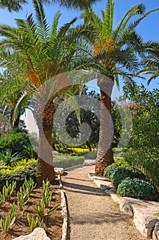 Picturesque corner in the Park Ramat Hanadiv, Israel