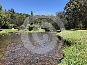 The banks of the Jamieson river