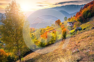 Amazing colorful autumn landscape, Magura village, Brasov county, Transylvania, Romania photo
