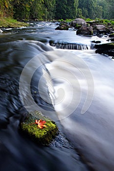 Picturesque countryside river