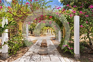 Picturesque entrance to the garden located near Ocu in Panama