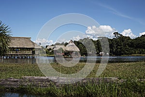 Pintoresco a exótico laguna limpiar Agua de madera casa a cubierto de paja techo pobre casas Amazonas 