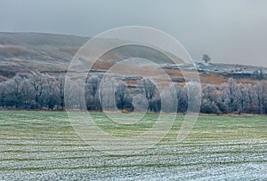 Picturesque fields in winter. First snow.