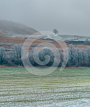 Picturesque fields in winter. First snow.