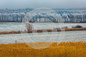 Picturesque fields in winter. First snow.