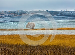 Picturesque fields in winter. First snow.