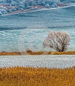 Picturesque fields in winter. First snow.