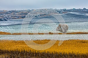 Picturesque fields in winter. First snow.