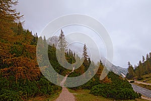 Picturesque foggy landscape. Beautiful autumn view of Vrsic Pass. Thick fog hides mountains with dense forest.