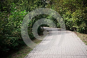 Picturesque forest path made of tiles in the city park. Image for your creative design