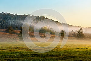 Picturesque forest-steppe nature landscape with fog over a meadow with grass and trees