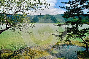 Picturesque Furnas Lake on the Azorean island of Sao Miguel photo