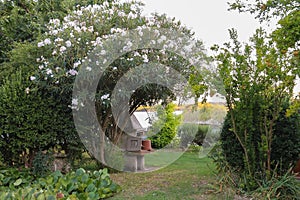 Picturesque garden on banks of the Venetian lagoon