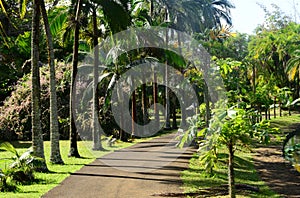 Picturesque garden of Pamplemousse in Mauritius Republic