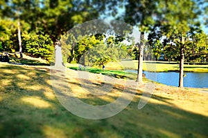 Picturesque golf course with a group of golfers playing their game in a lush green landscape