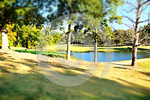 Picturesque golf course with a group of golfers playing their game in a lush green landscape