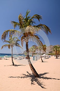 Picturesque gorgeous view on Teresitas beach on Tenerife island