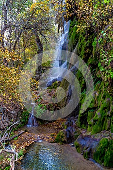 Picturesque Gorman Falls in Texas.