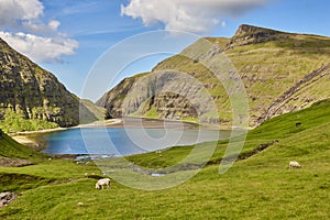 Picturesque green landscape with lambs in Faroe islands. Saksun