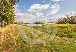 Picturesque image of a nature reserve in summertime