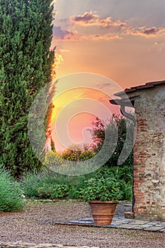 Picturesque Italian garden